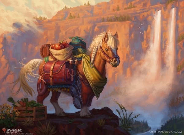 Fichier:Bill le poney.jpg