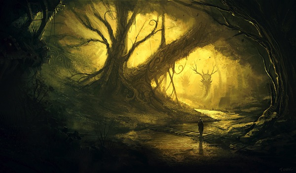 Fichier:Tree in cave.jpg