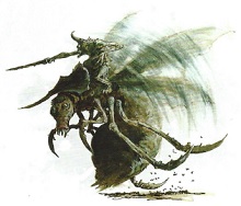 Fichier:FDTDronesFétides.jpg