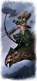 Fichier:Hawk riders.png