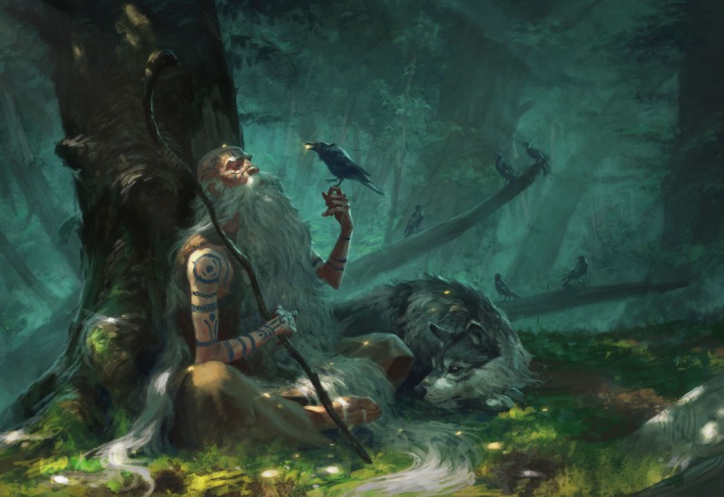 Fichier:Druidic.jpg