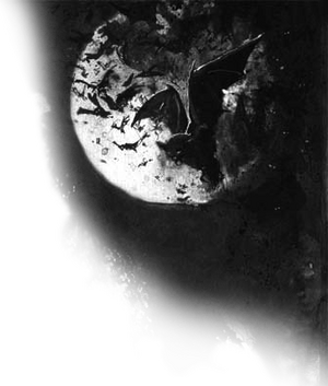 Bats.png