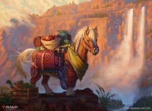 Bill le poney.jpg
