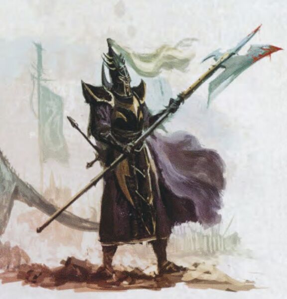 Fichier:CapitaineKouranMainNoire.jpg