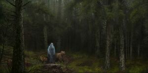 The druid.jpg