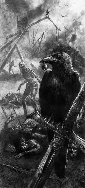 Raven.jpg