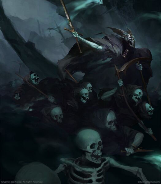 Fichier:Knight of shroud 1.jpeg