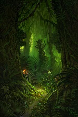Sentier jungle.jpg